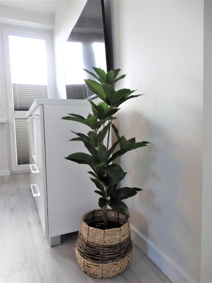 Apartament Centrum Świnoujście Extérieur photo